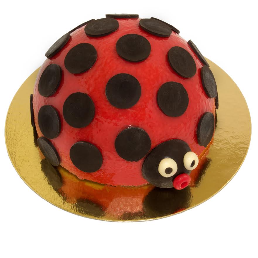 Coccinelle